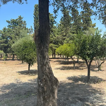 La Casa Di Giuliana *